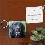 customer testimonial image