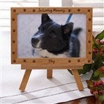 customer testimonial image