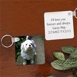 customer testimonial image