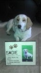 customer testimonial image