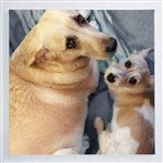 customer testimonial image