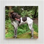 customer testimonial image