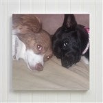 customer testimonial image