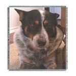 customer testimonial image