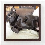 customer testimonial image