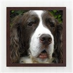 customer testimonial image