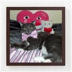 customer testimonial image