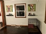 customer testimonial image