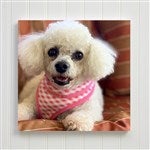 customer testimonial image