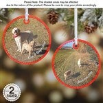 customer testimonial image