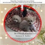 customer testimonial image