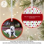 customer testimonial image