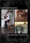 customer testimonial image