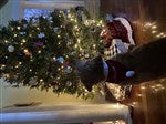 Personalized Velvet Christmas Dog Bandana - Santa Paws - Large - Christmas
