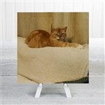 customer testimonial image