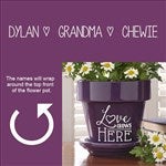 customer testimonial image