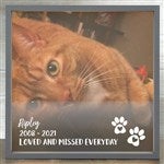 customer testimonial image