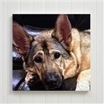 customer testimonial image