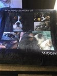 customer testimonial image