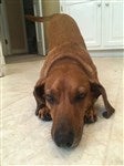 customer testimonial image