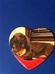 customer testimonial image