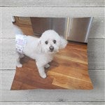 customer testimonial image