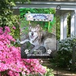 customer testimonial image