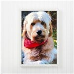 customer testimonial image