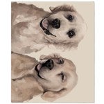 customer testimonial image