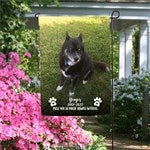 customer testimonial image