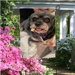 customer testimonial image