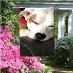 customer testimonial image