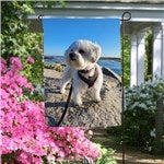 customer testimonial image