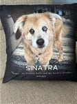 customer testimonial image