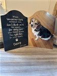 customer testimonial image