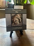customer testimonial image