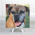 customer testimonial image