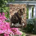 customer testimonial image