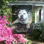 customer testimonial image