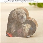 customer testimonial image