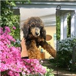 customer testimonial image