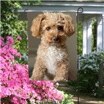 customer testimonial image