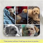 customer testimonial image