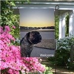 customer testimonial image