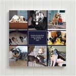 customer testimonial image