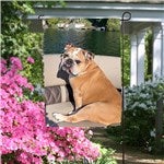 customer testimonial image