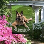 customer testimonial image