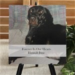 customer testimonial image