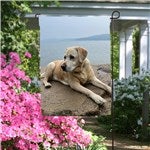 16748 - Personalized Photo Garden Flag