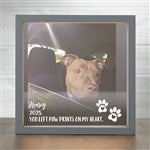 21192 - Pet Photo Memorial Personalized LED Shadow Box